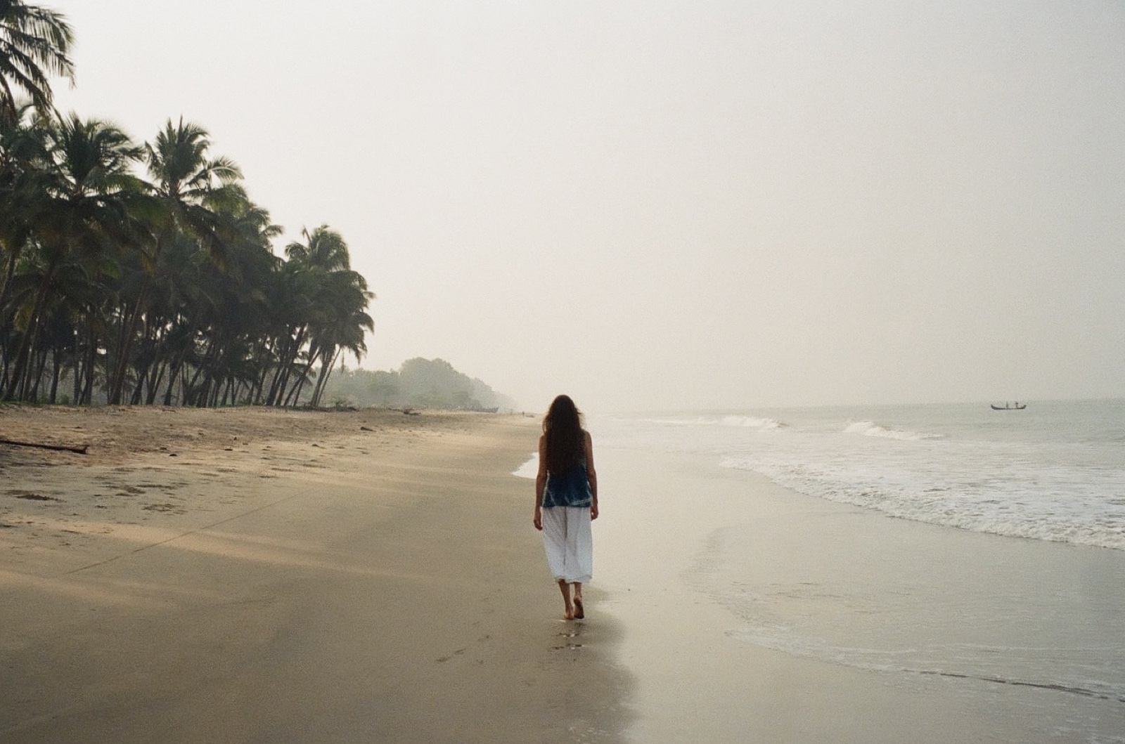 A woman walking away down a misty palm-lined beach